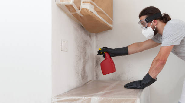 Professional Crawl Space Mold Removal technician working in Bethel, NC